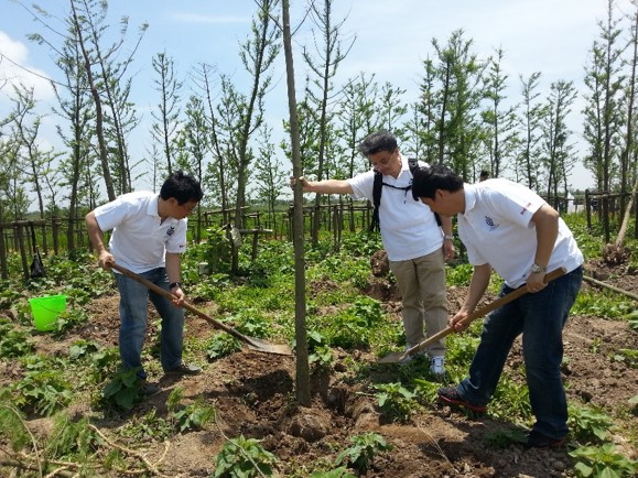 Tree planting